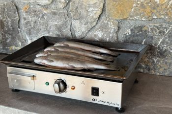 Flamula ELQ2000 z ribami