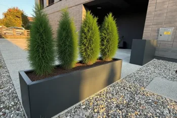 Moderno cvetlično korito v atrancit barvi