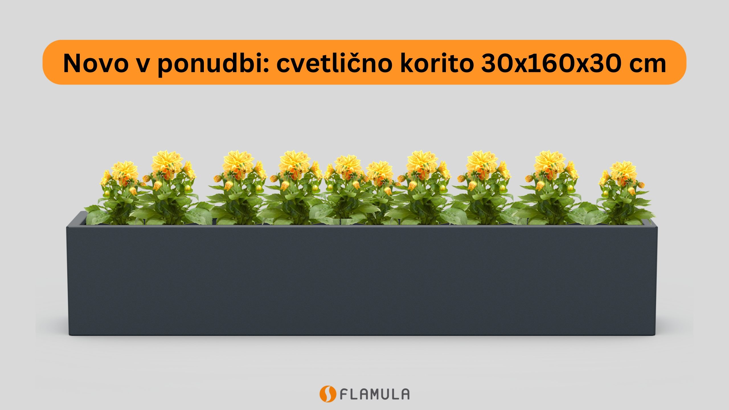 Kovinsko cvetlično korito 30x160x30 cm z rožami